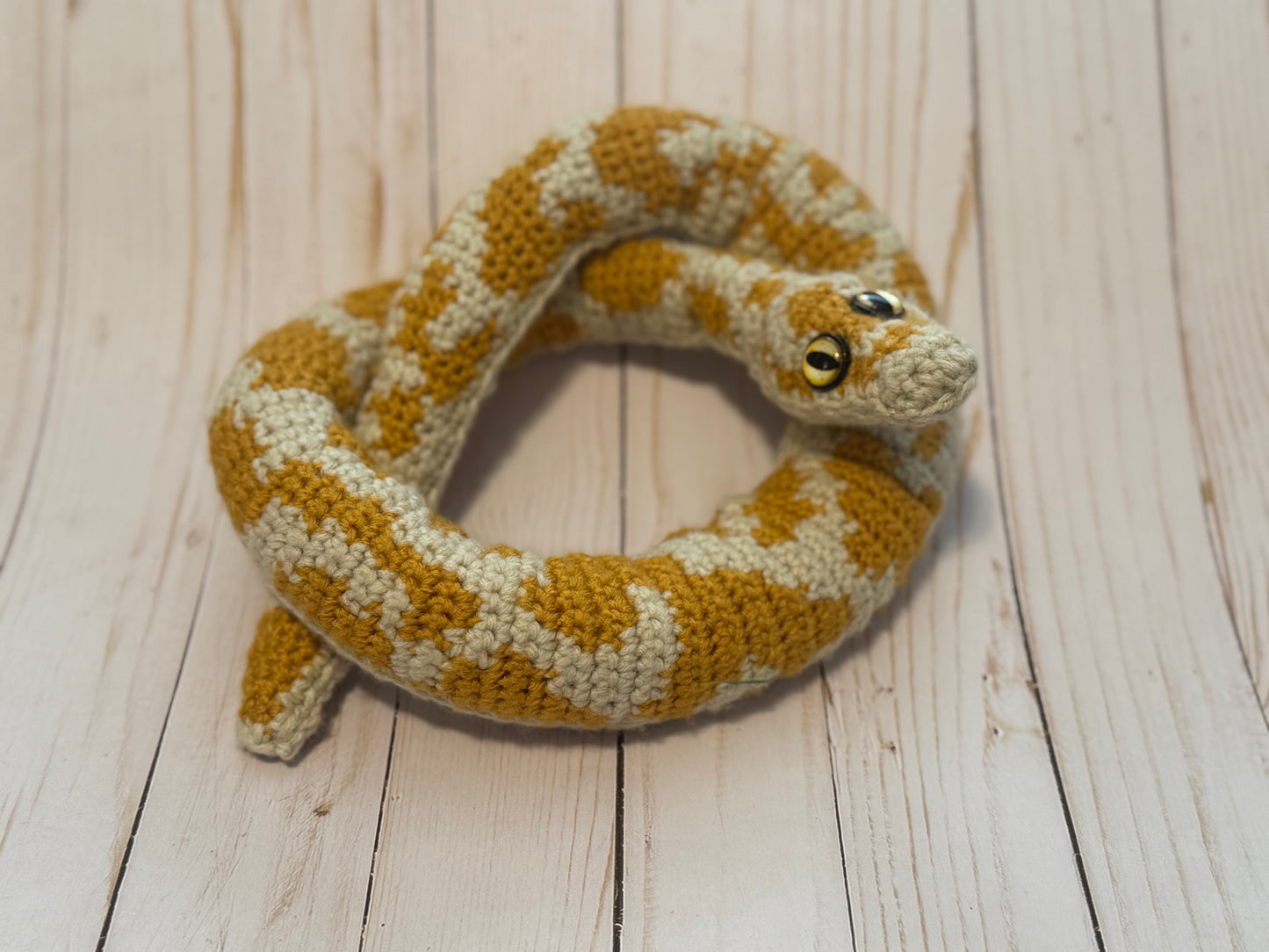 Sunny the Albino Boa