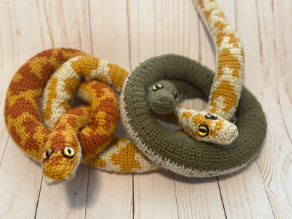 Sunny the Albino Boa
