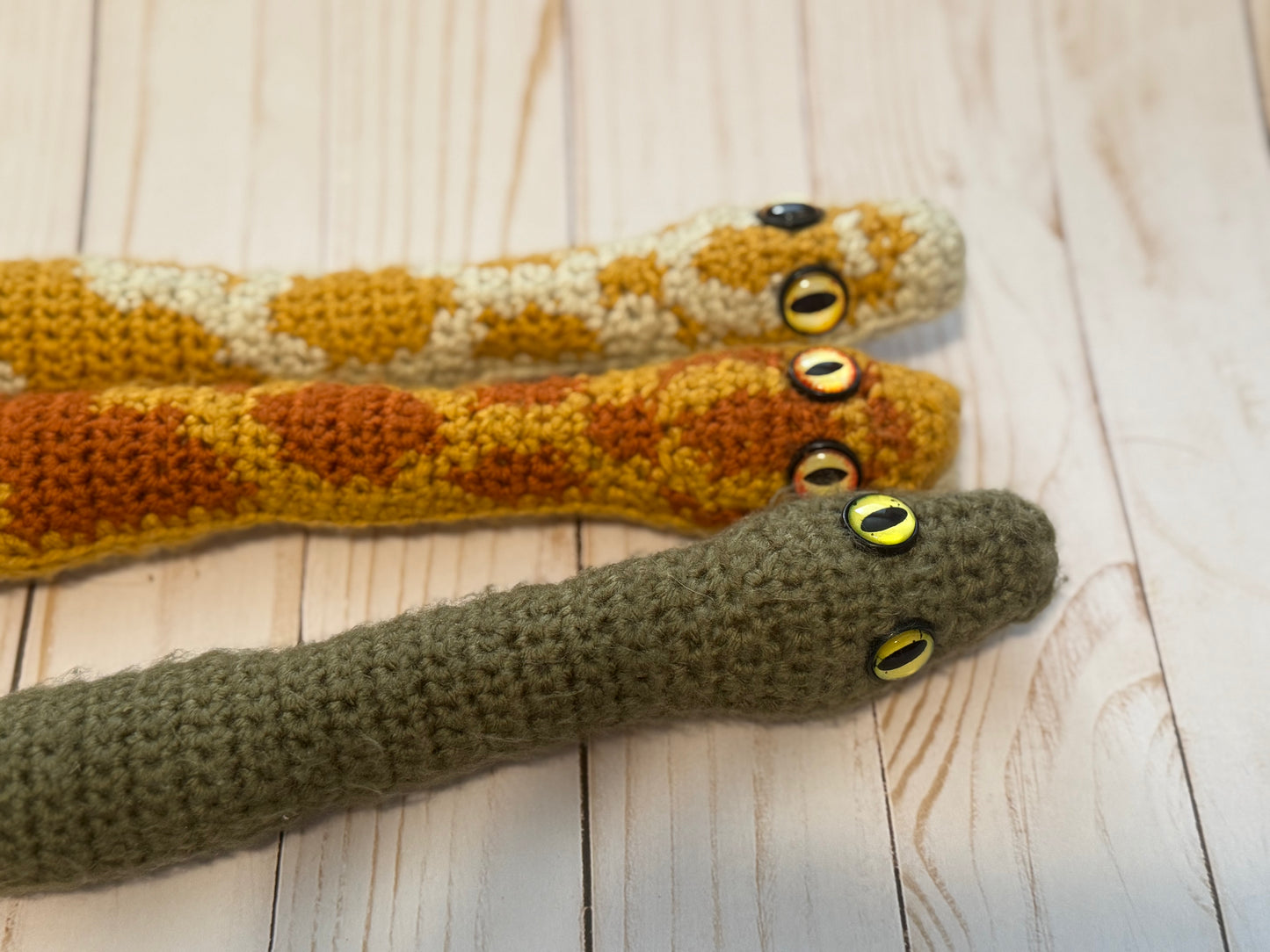 Sunny the Albino Boa