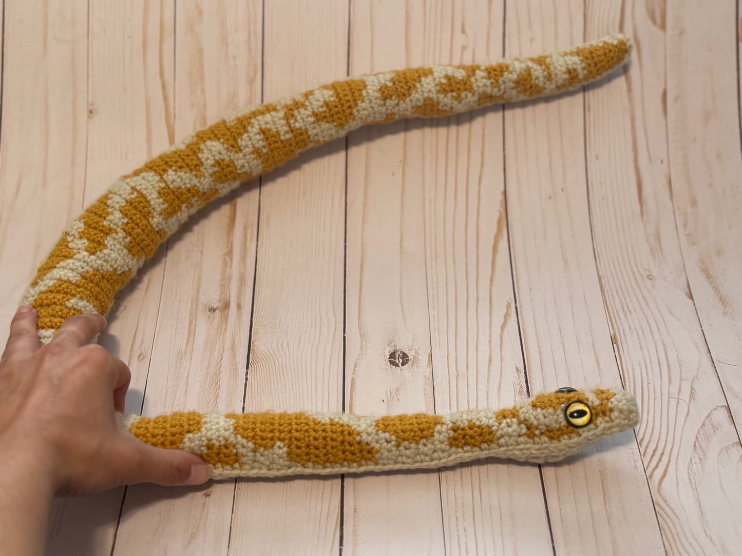 Sunny the Albino Boa