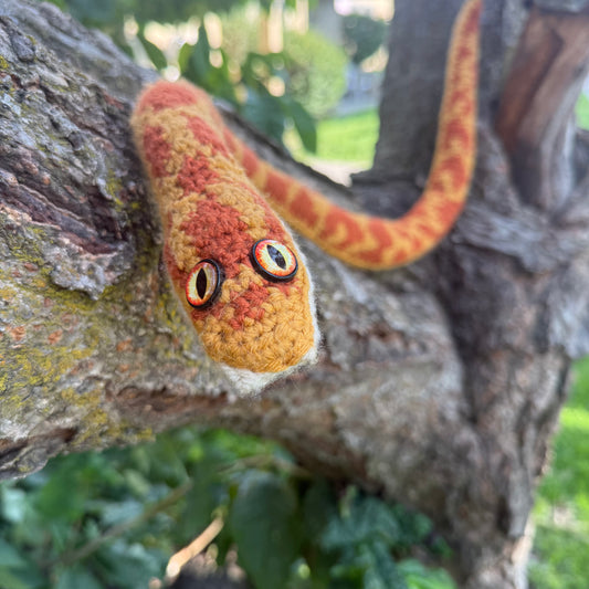 Kernel the Cornsnake